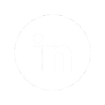 linkedin Alexis Toublanc visual artist
